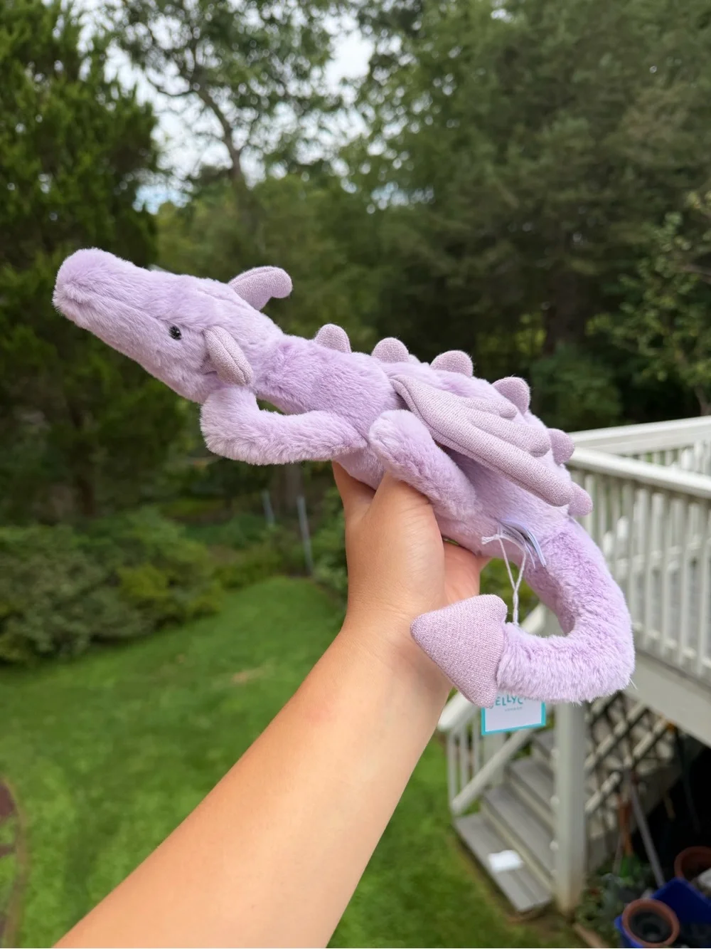 Lavender Dragon size little